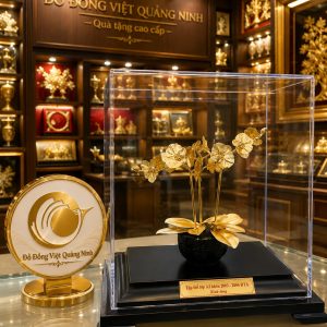 Cây Lan Hồ Điệp 3 Cành